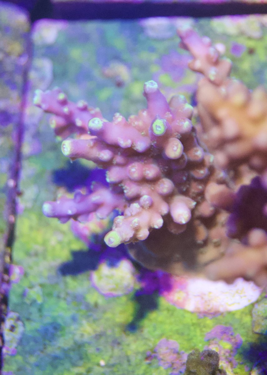 _DSC9191.jpeg