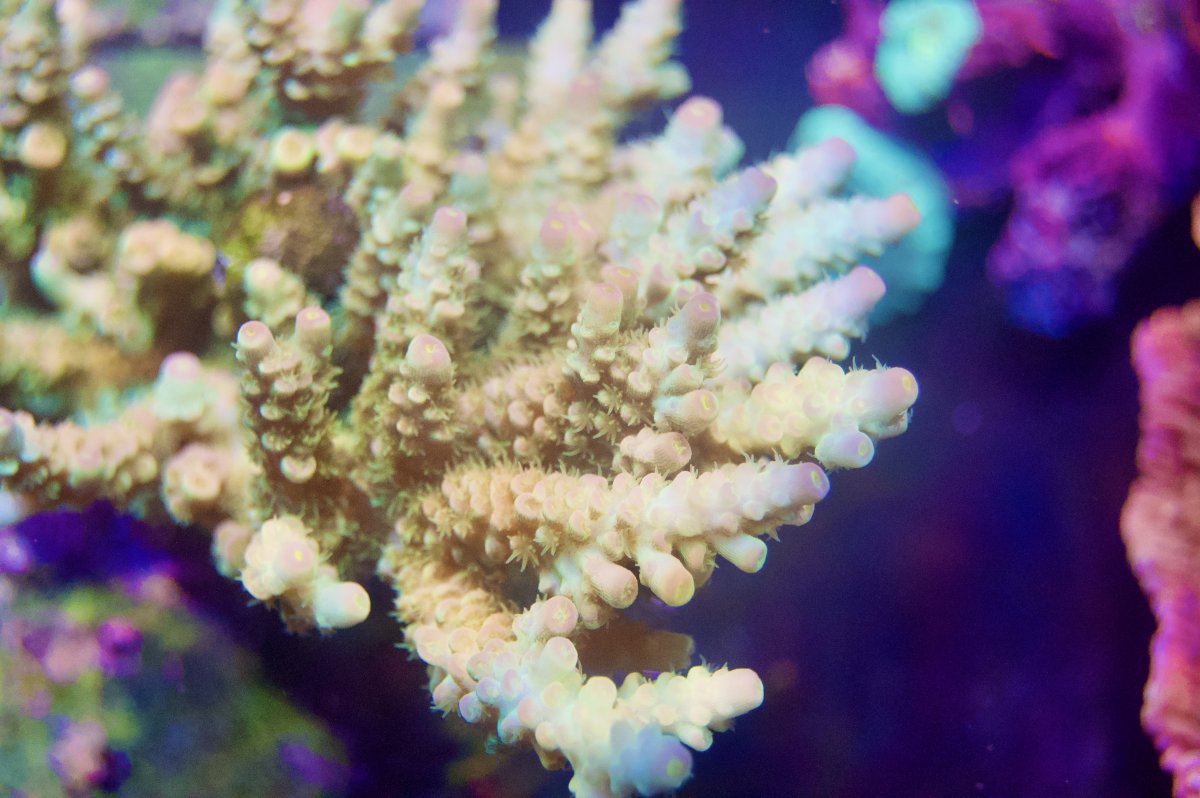 _DSC9193.jpeg