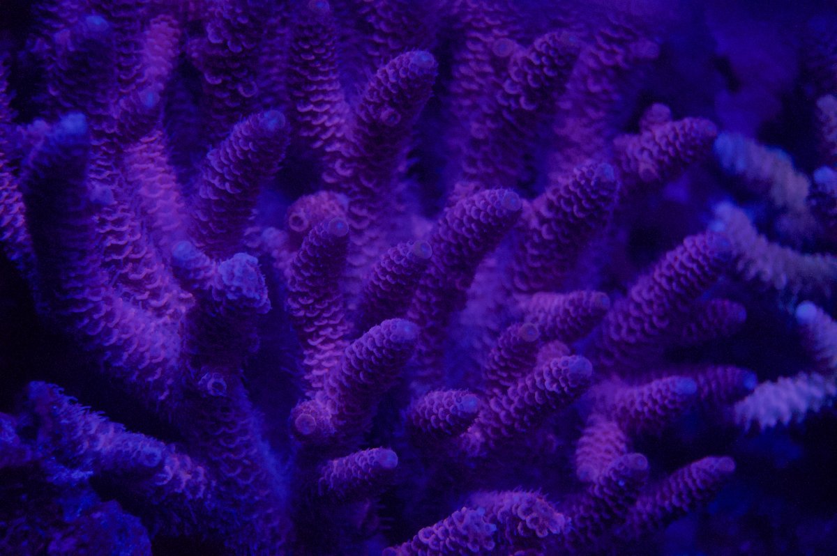 _DSC9256.jpeg