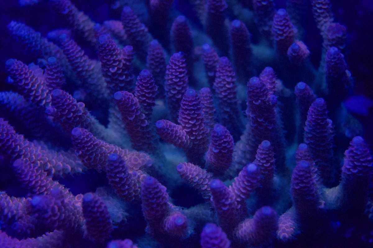 _DSC9258.jpeg