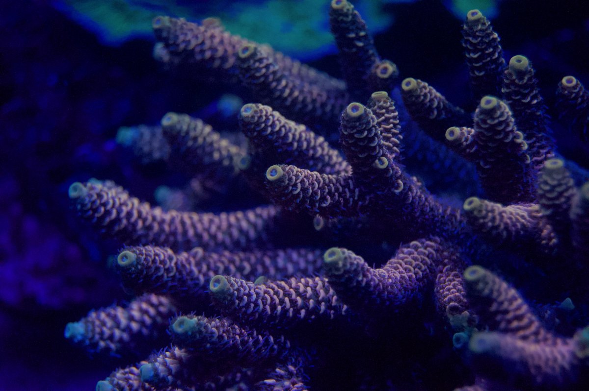 _DSC9259.jpeg