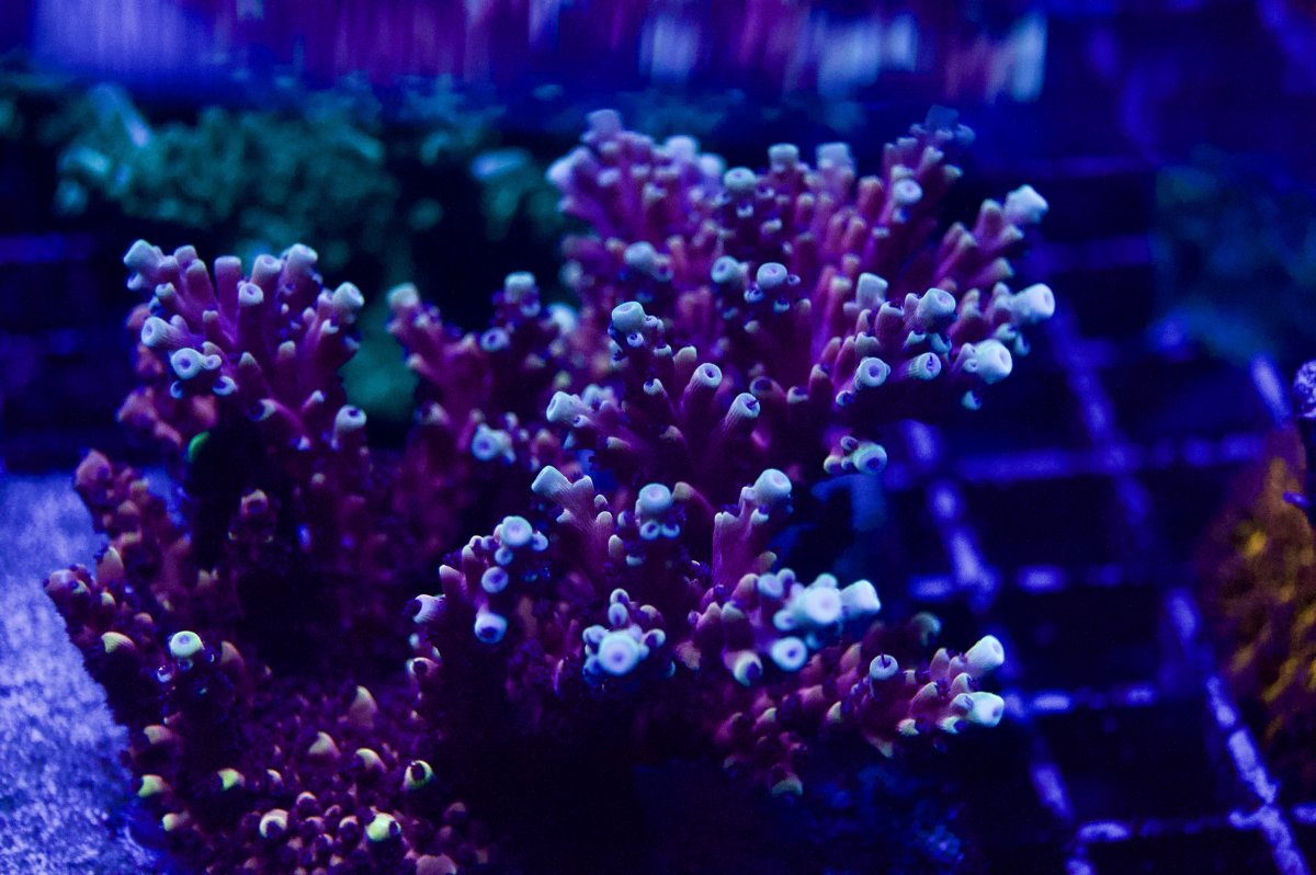 _DSC9328.jpeg