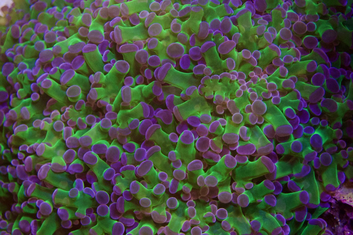 _DSC9347.jpeg