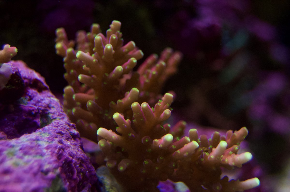 _DSC9353.jpeg