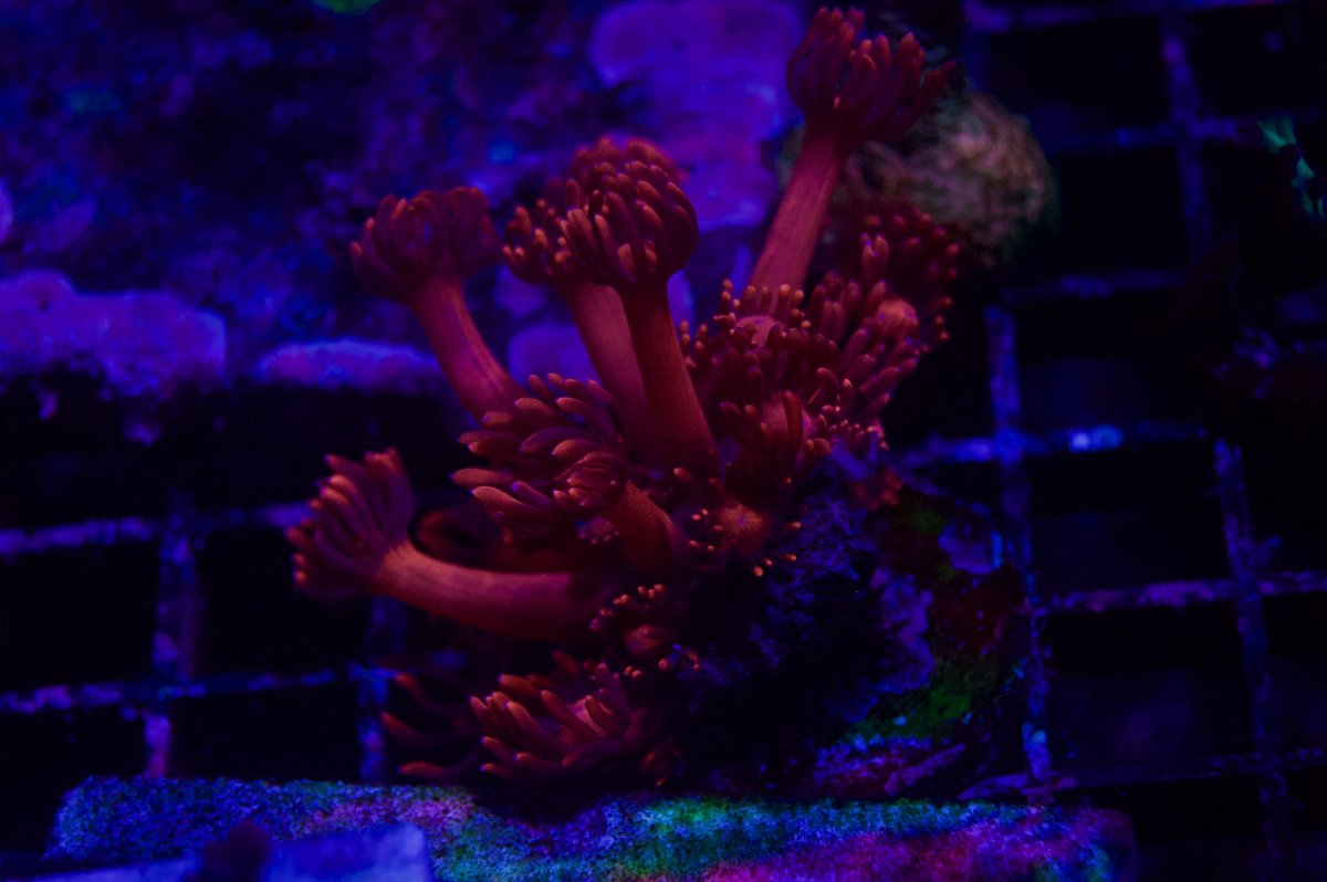 _DSC9437.jpeg