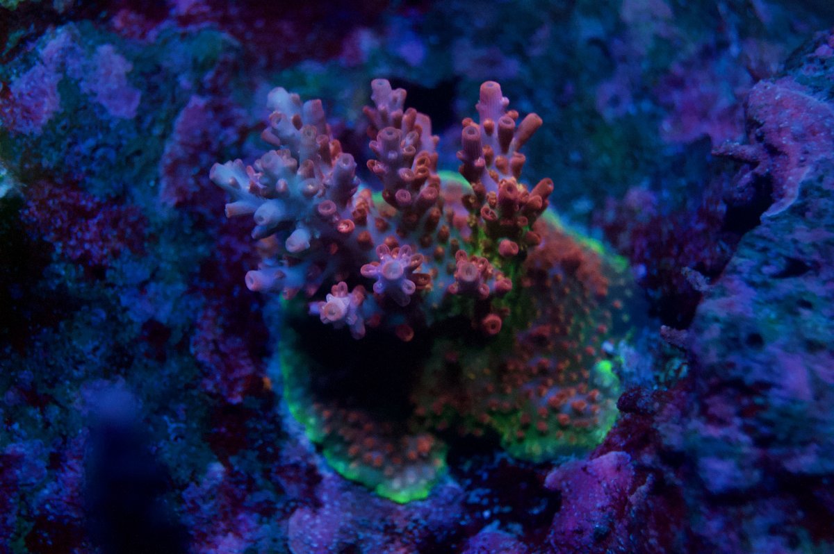 _DSC9456.jpeg