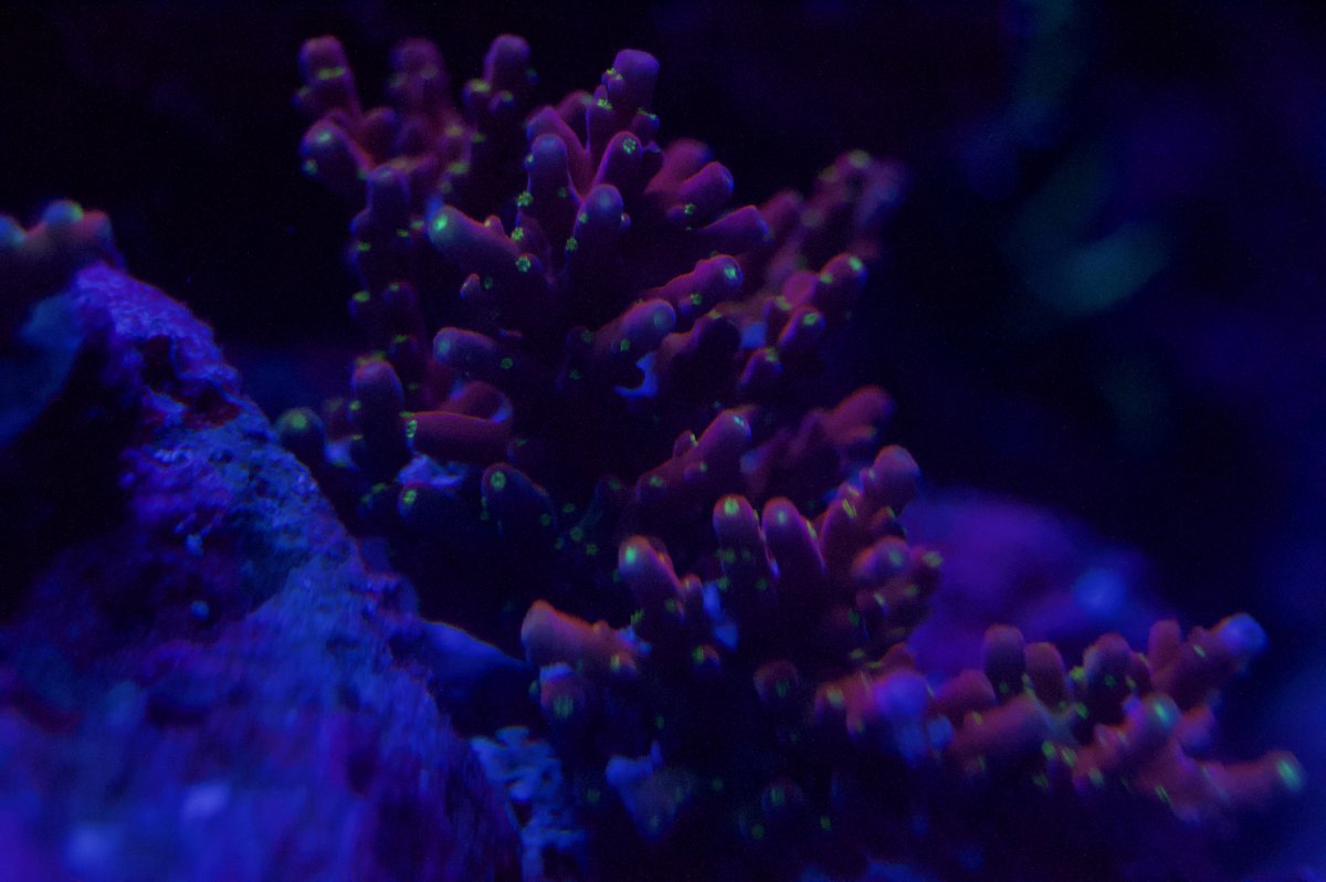 _DSC9457.jpeg