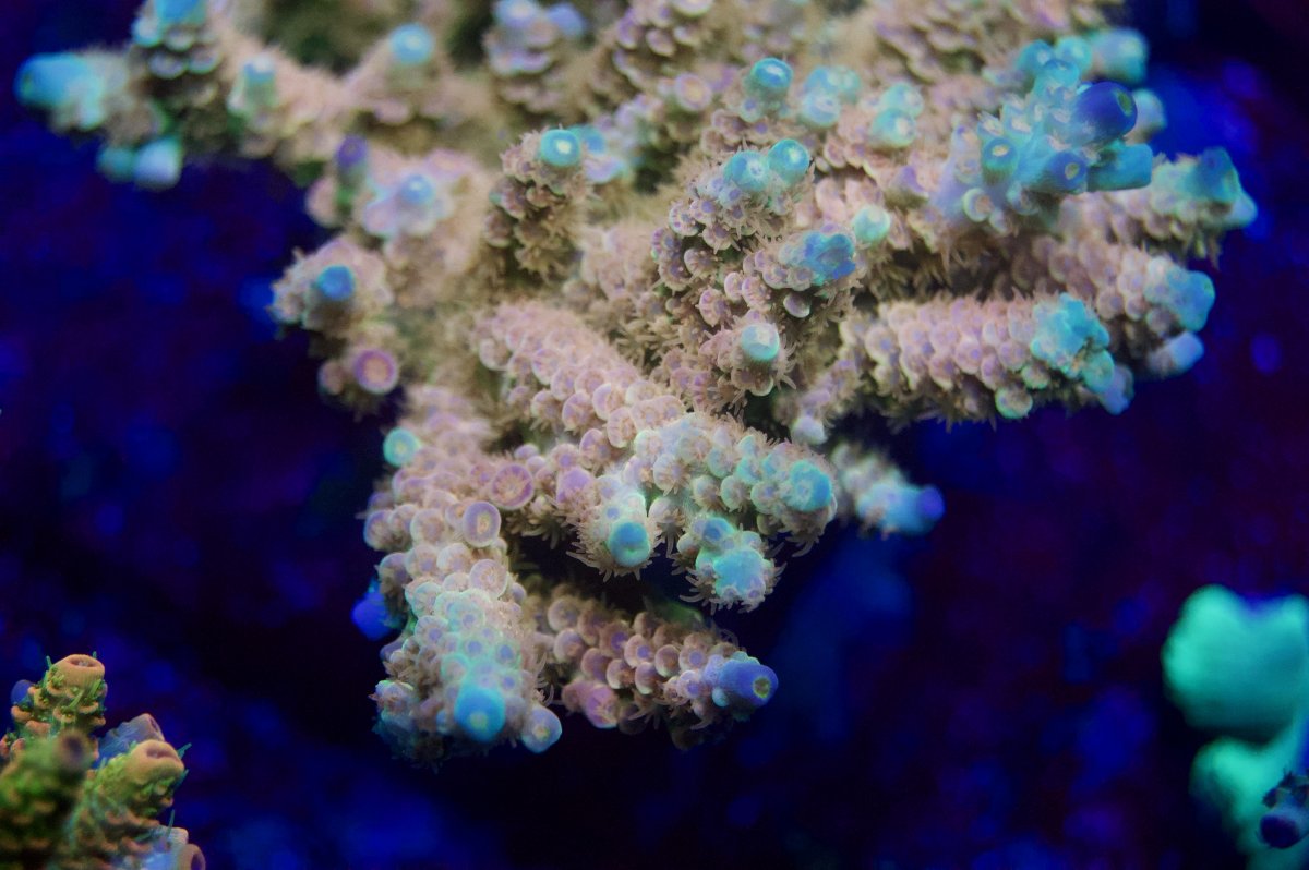 _DSC9461.jpeg