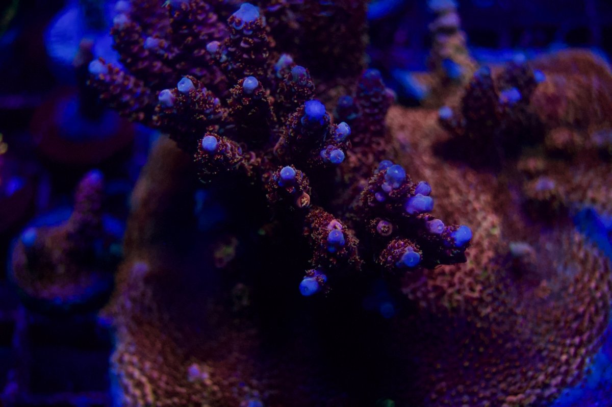 _DSC9476 2.jpeg