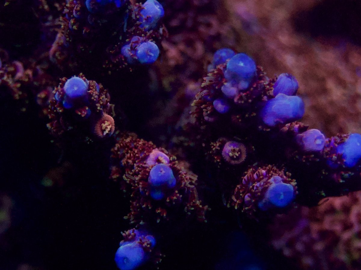_DSC9476.jpeg