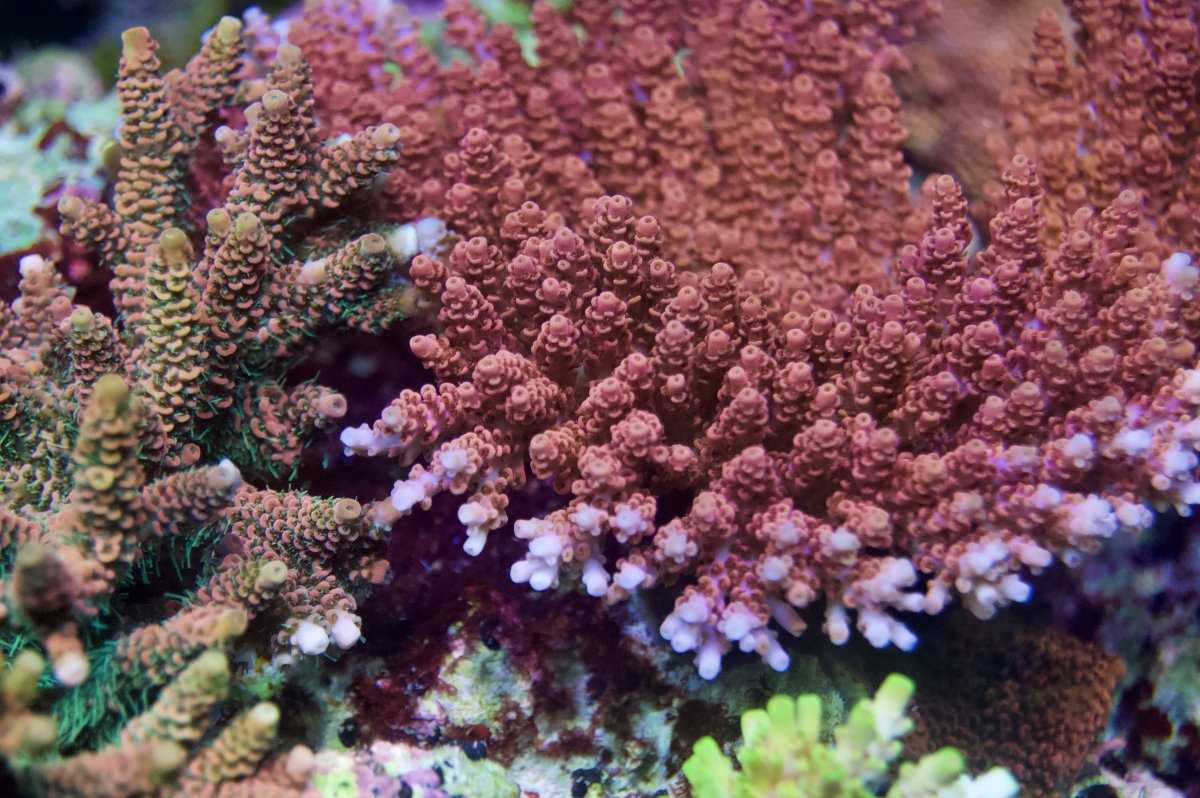_DSC9641 2.jpeg