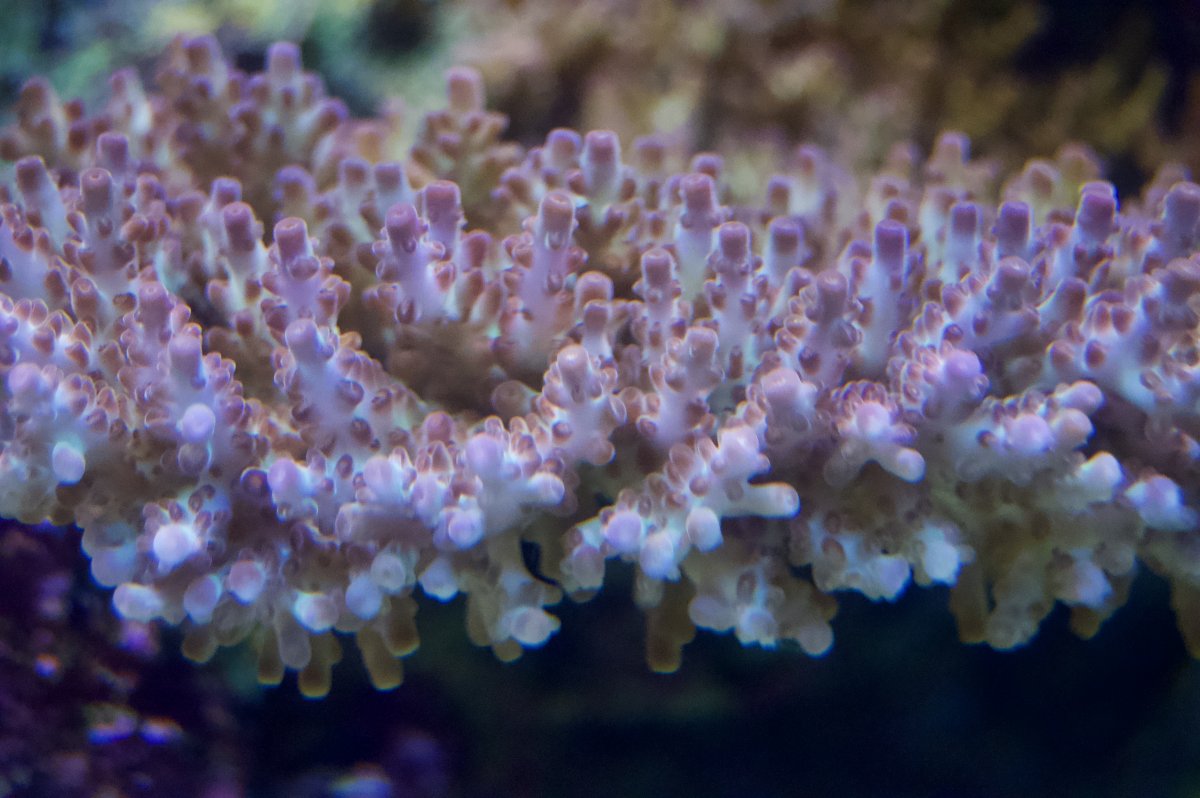 _DSC9661.jpeg