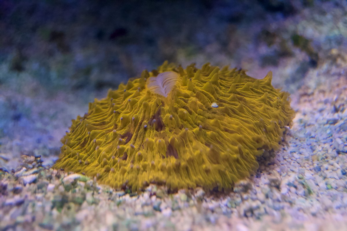 _DSC9672.jpeg
