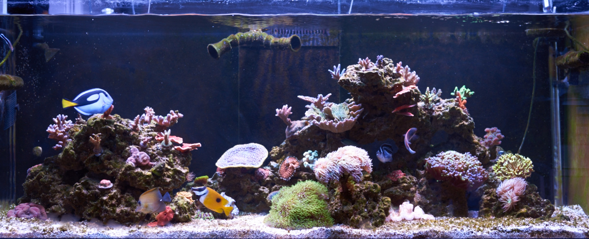 _DSC9850_output 1.jpg