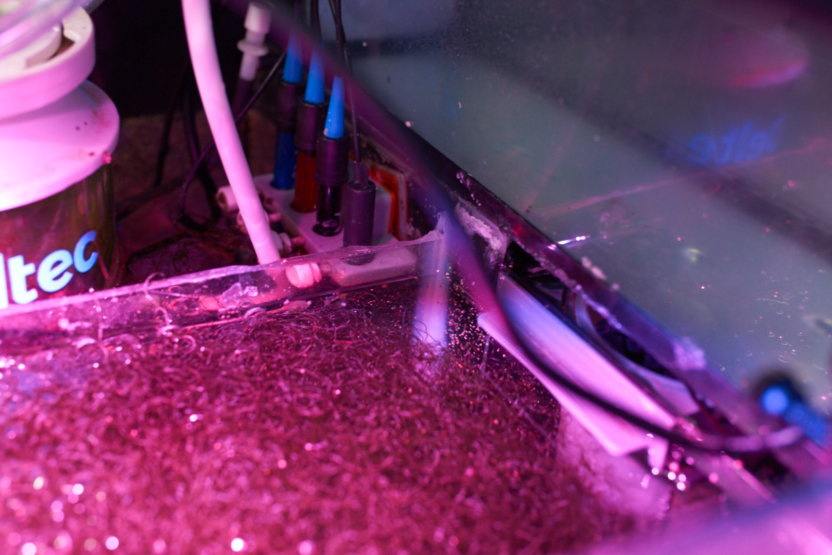 _DSC9859_1_output.jpg