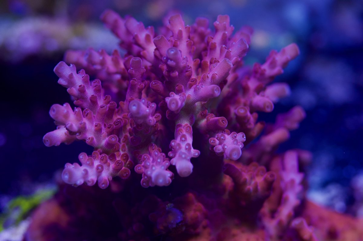 _DSC9889.jpeg
