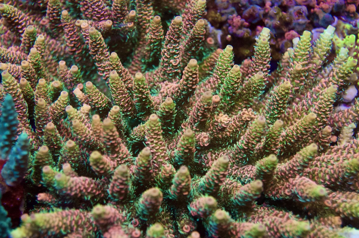 _DSC9951.jpeg