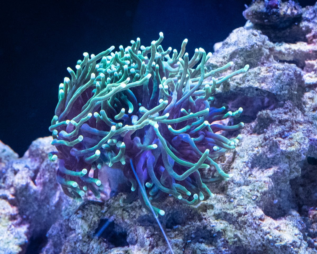 _DSF9072.jpg