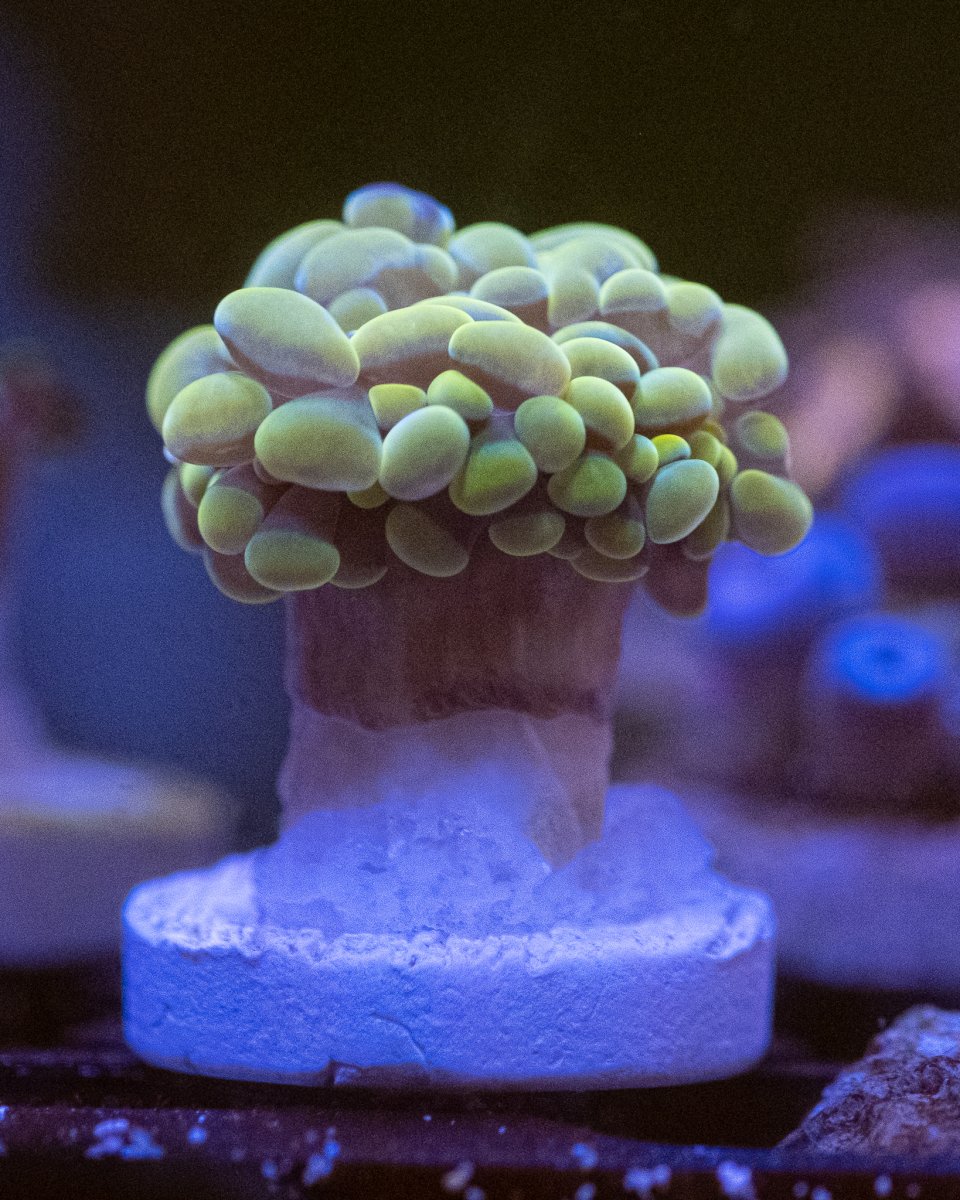 _DSF9346.jpg