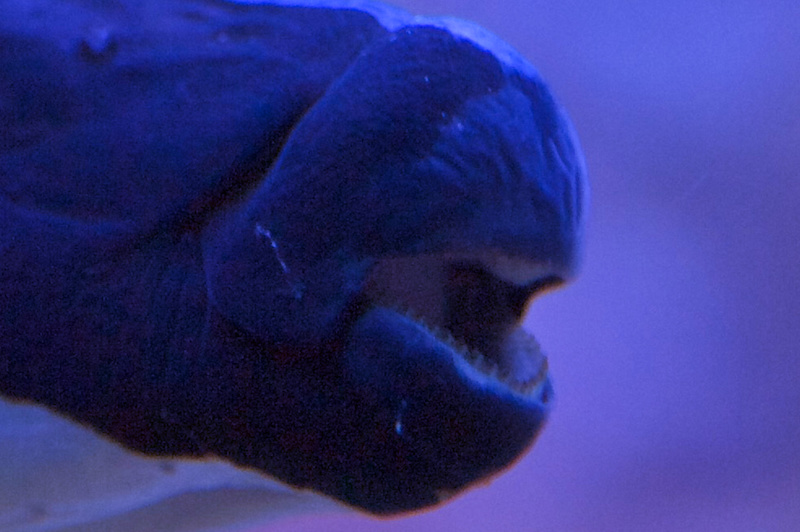 _IGP2872.jpg