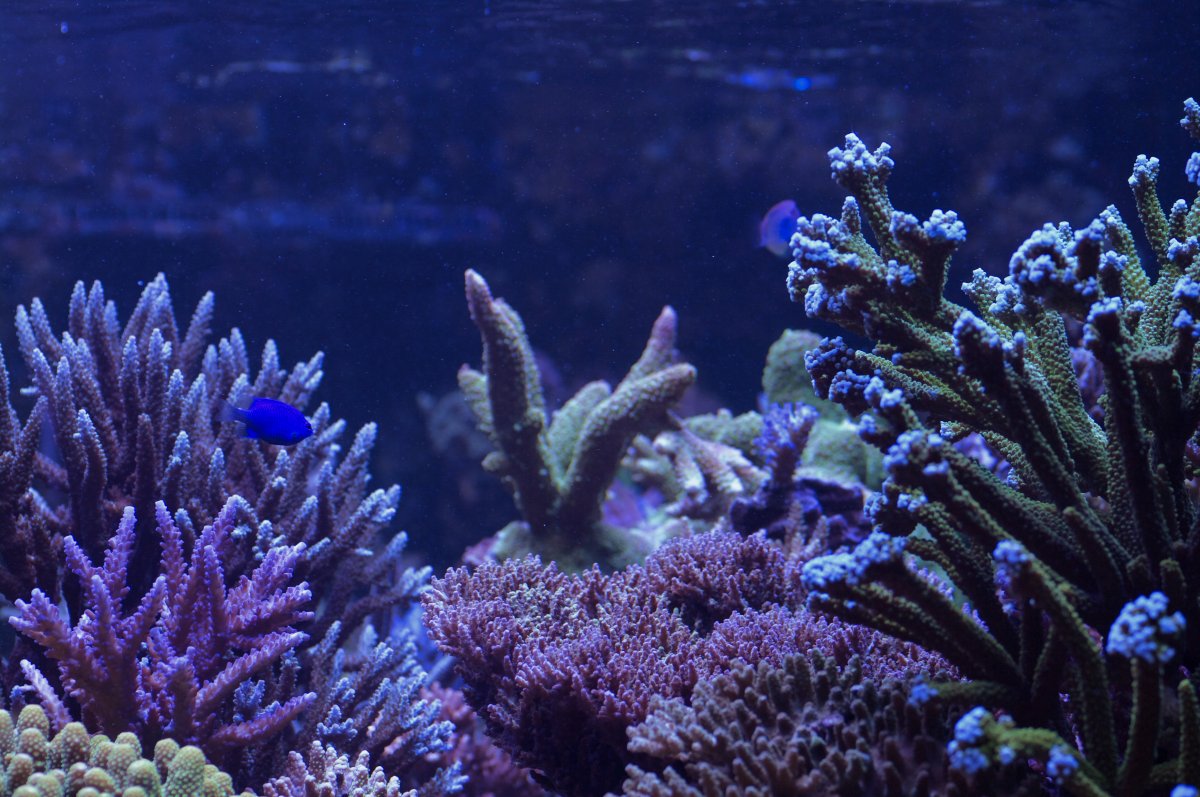 _IGP2899.jpg