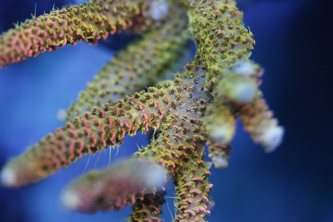 _MG_3677.JPG