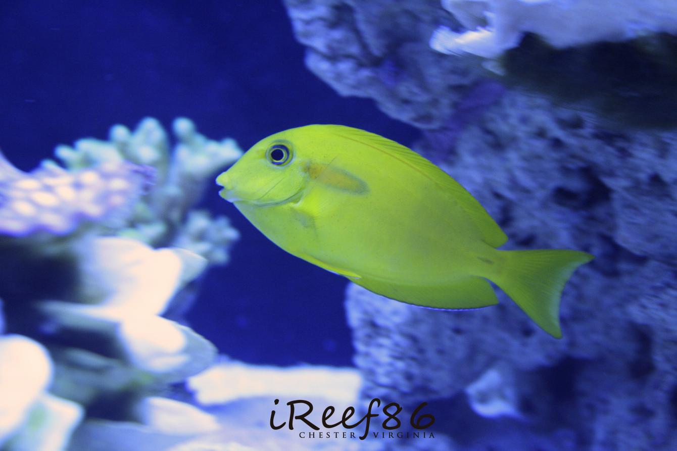 _MG_3726.jpg