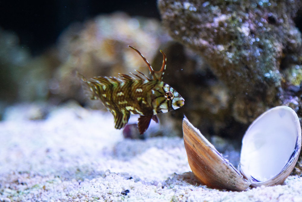 _MG_3815.jpg