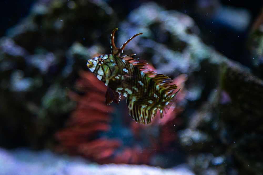 _MG_3845.jpg