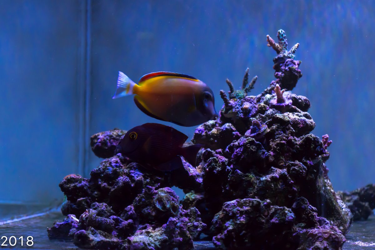 _MG_6475.jpg