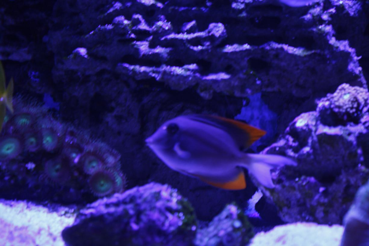 _MG_7832.jpg