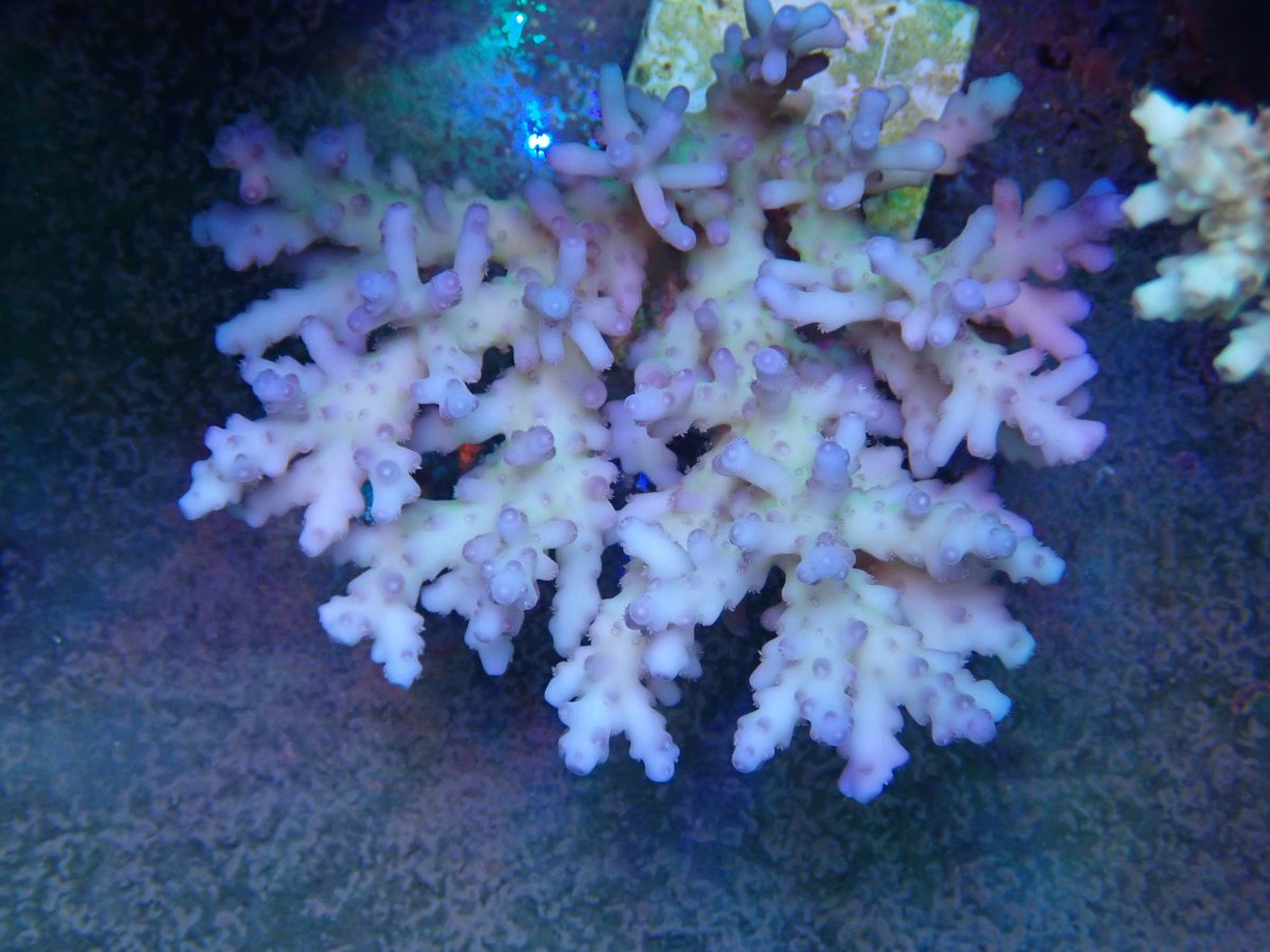_OI000345.JPG