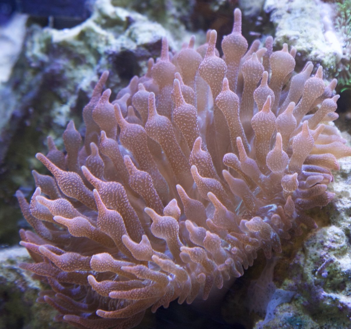 _P7A2126.jpg