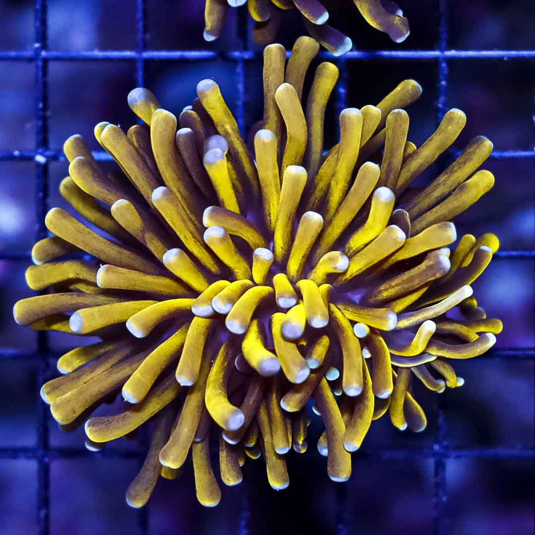 A (91).jpg