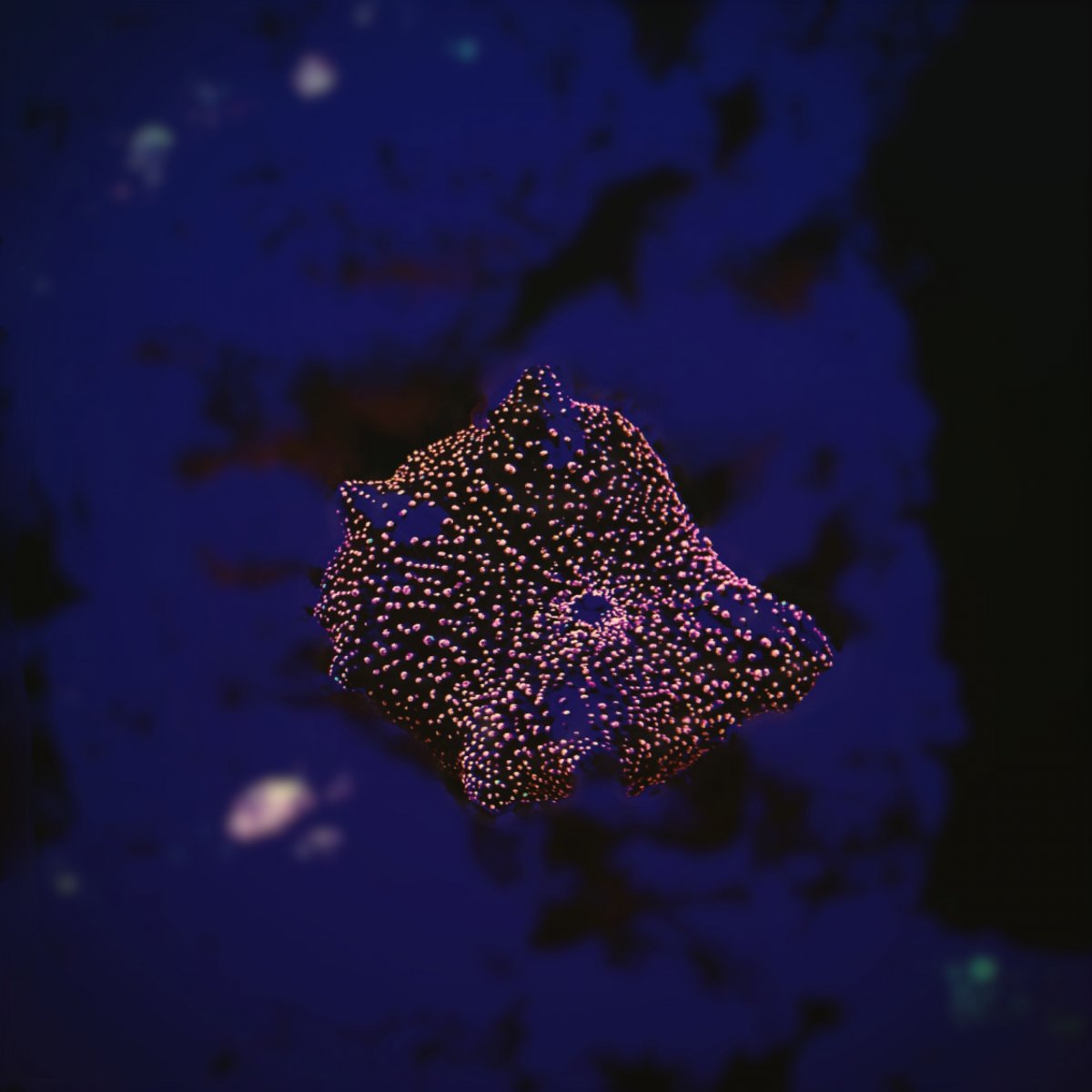 A02C3793-0FF2-4A79-B39D-6E8B38074FF6.jpeg