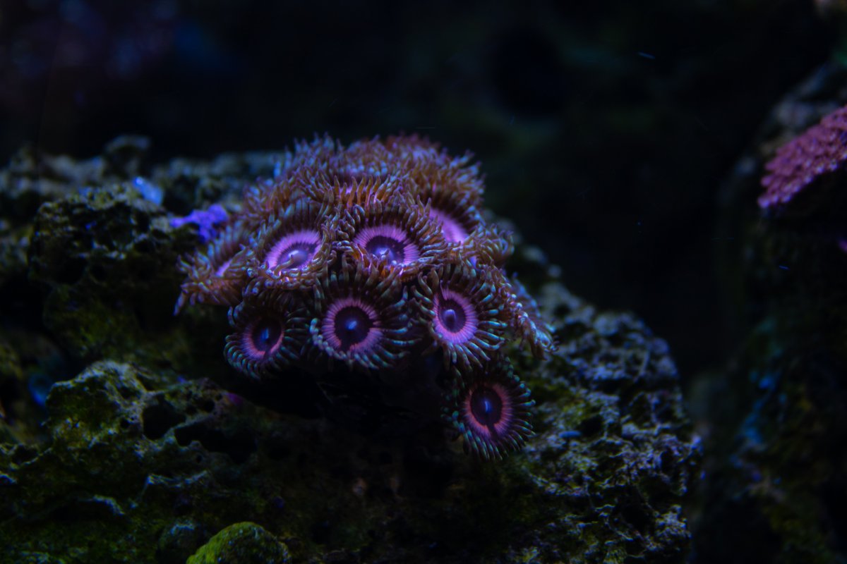 A08292DC-DF06-4BEA-8A5C-2A6F4A6C2427.jpeg