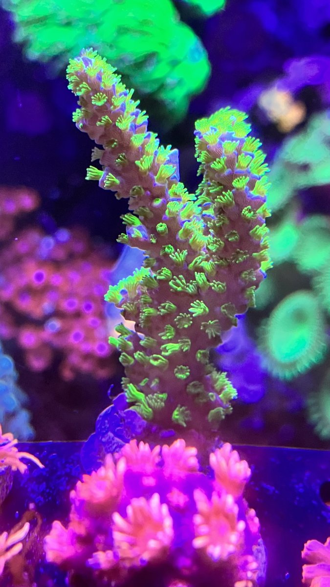 A0CA7EC7-1CDA-46C9-AE70-75BA10A8DE37.jpeg
