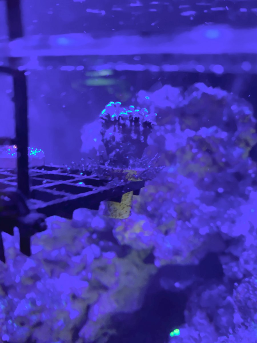 A448DF88-6D55-4B02-BEB9-8422DB015B9D.jpeg