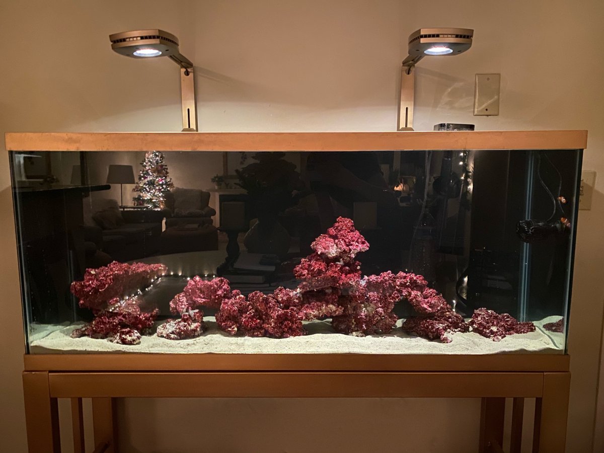 120 gallon aquarium petco top