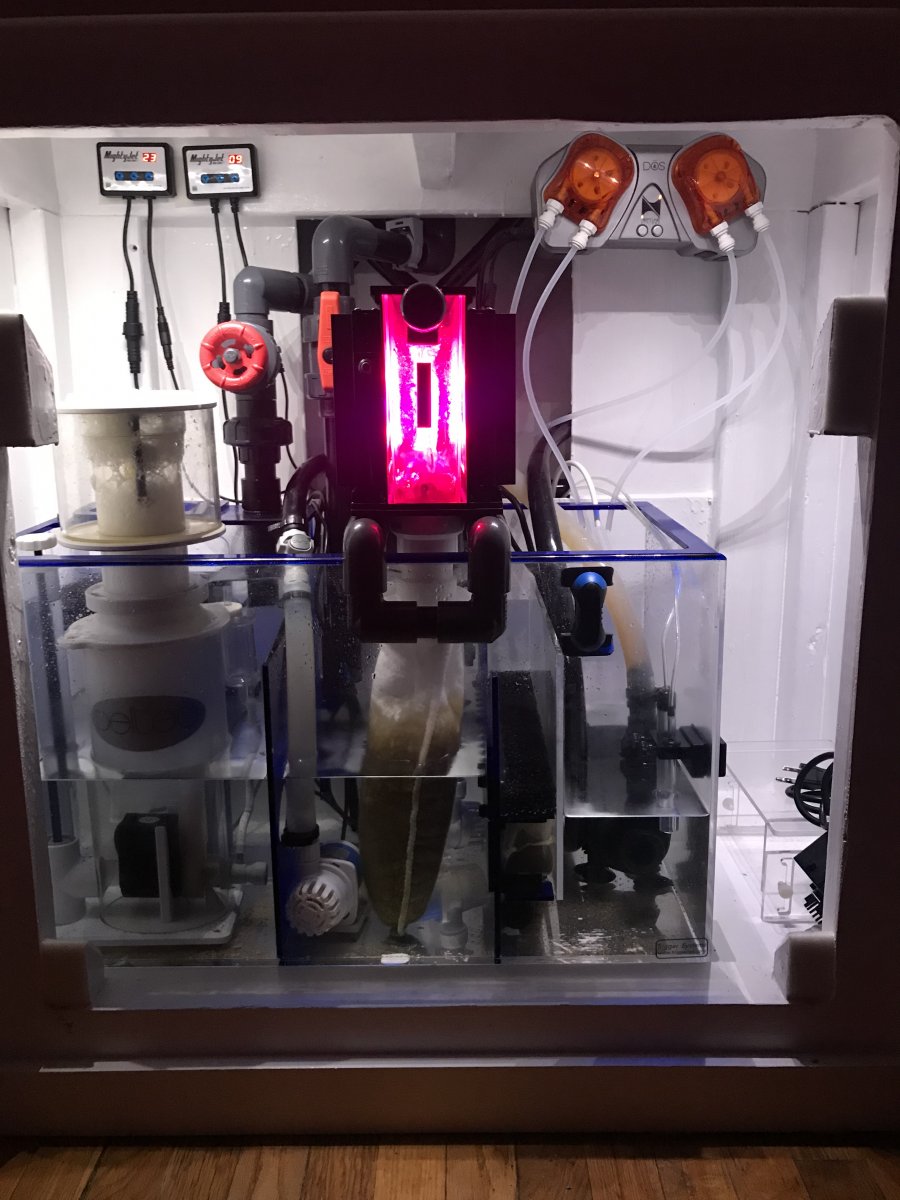 I Think I'm Up the Sump Without a Paddle :( | REEF2REEF Saltwater and ...