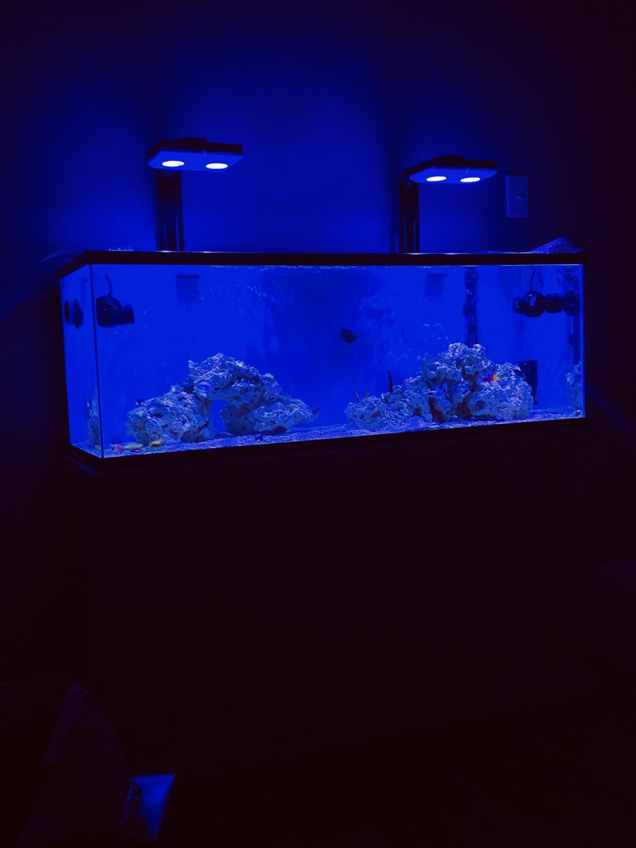 My Favorite New Reef Substrate | Reef2Reef