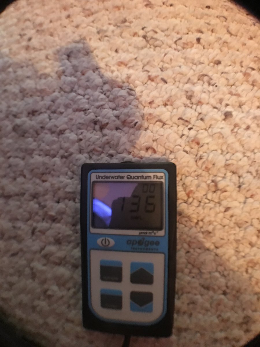 A78DDC93-D5D5-4929-849E-3E70EE0060FA.jpeg