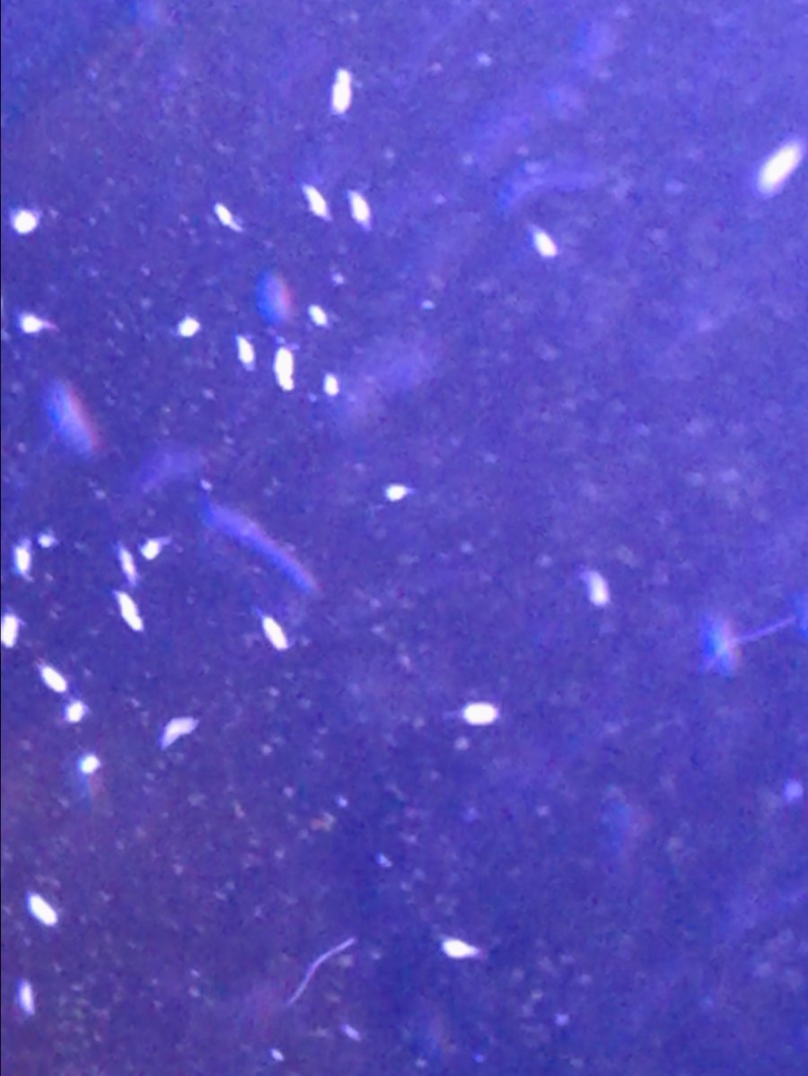 White dots on glass REEF2REEF Saltwater and Reef Aquarium Forum