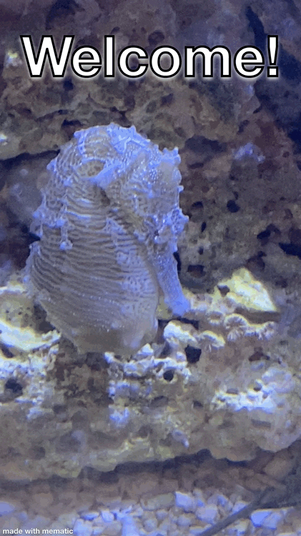 A7FA37A1-D64E-4F6E-AC04-9283CD203CD9.gif