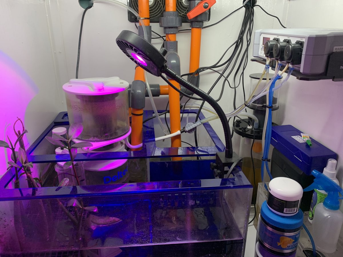 Co2 Scrubber? | Reef2Reef