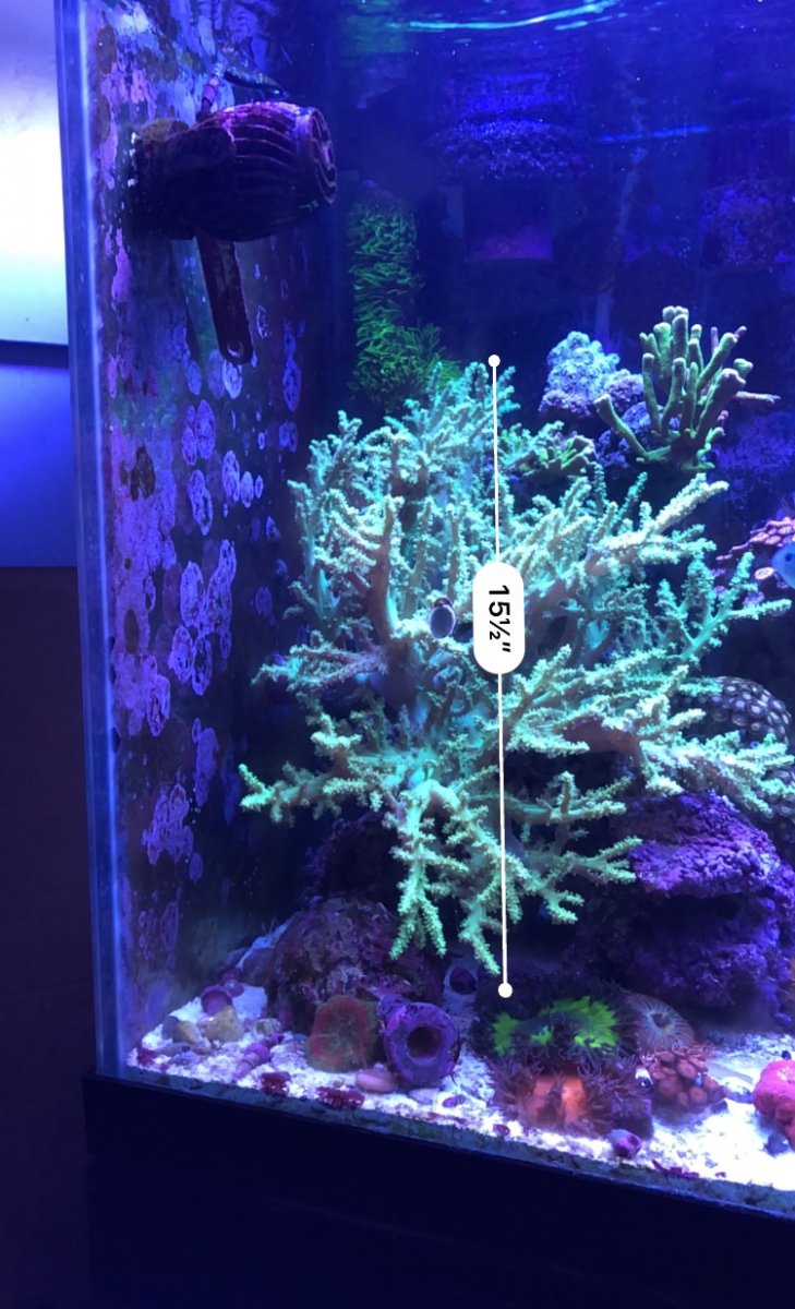 AA0516C3-D378-4D82-A347-A00D35E58E43.jpeg
