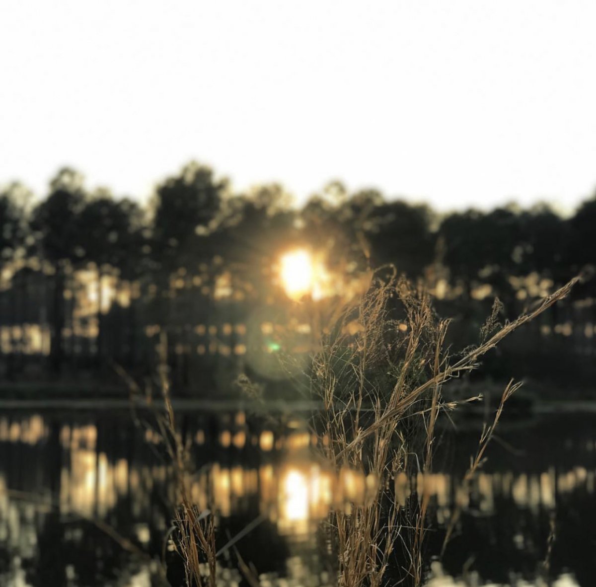 AAE49964-6C8B-465E-9E8A-658647EB4730.jpeg