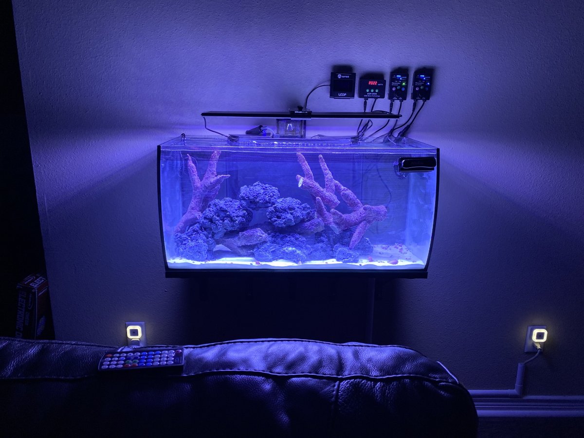 Fluval flex light upgrade top