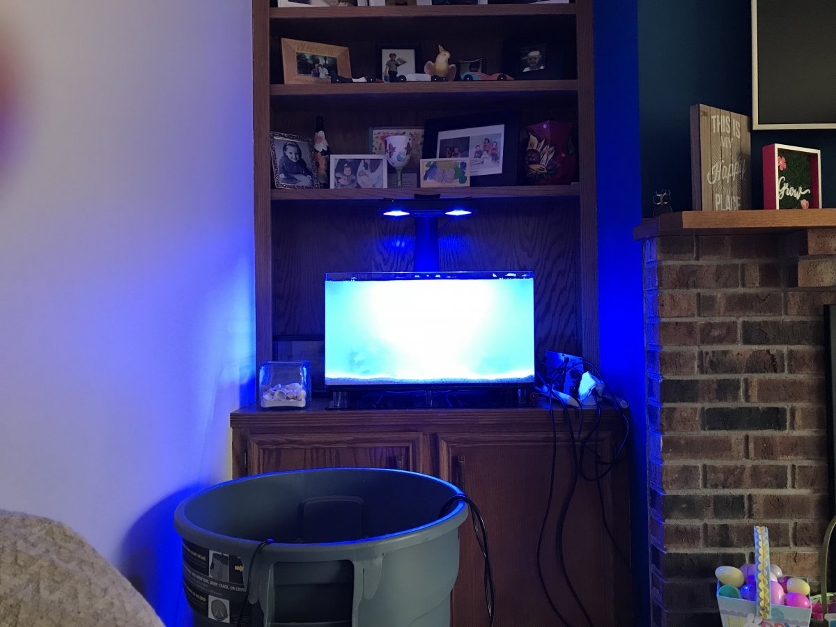 AC402F53-3C29-47EF-880B-E1063D320E32.jpeg