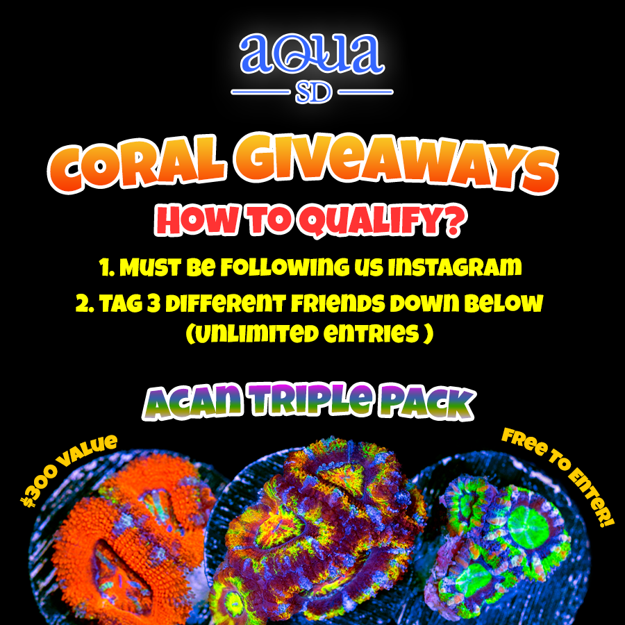 Acan-Giveaway.png